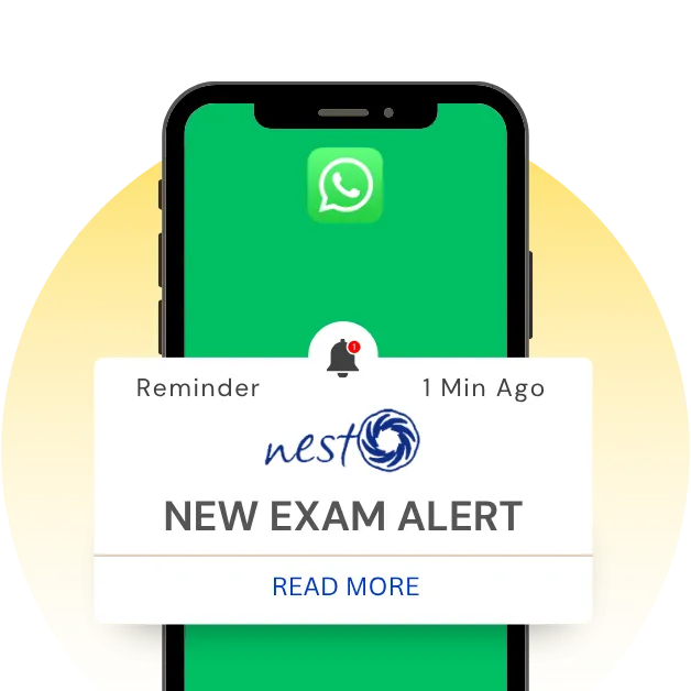 nesto-institute-whatsapp-channel